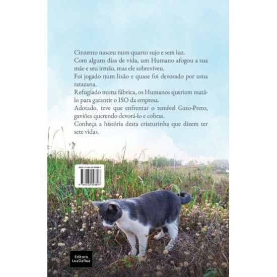 Cinzento, Um Dia de Sol, Mauro Pereira-Silva, Editora Luz da Rua Cinzento, Um Dia de Sol, Mauro Pereira-Silva, Editora Luz da Rua