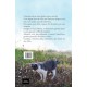 Cinzento, Um Dia de Sol, Mauro Pereira-Silva, Editora Luz da Rua Cinzento, Um Dia de Sol, Mauro Pereira-Silva, Editora Luz da Rua