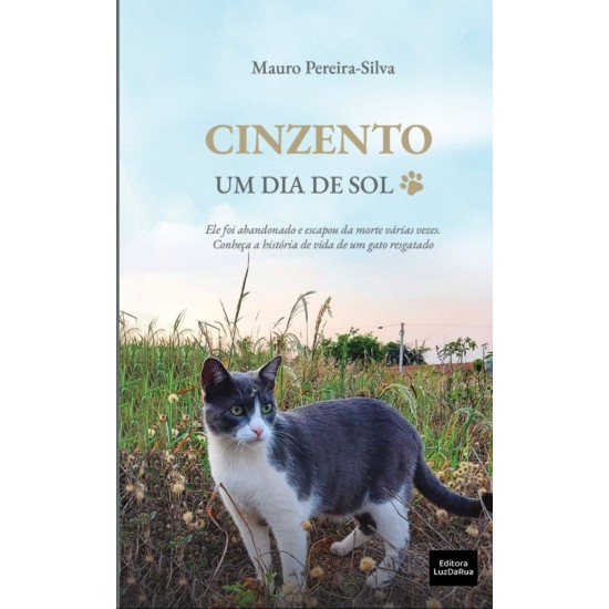 Cinzento, Um Dia de Sol, Mauro Pereira-Silva, Editora Luz da Rua Cinzento, Um Dia de Sol, Mauro Pereira-Silva, Editora Luz da Rua
