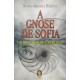 A Gnose de Sofia, Um Breve Romance Herético, Bruno Amabile Bracco