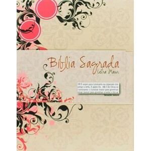 Bíblia Sagrada Letra maior com Estojo Bíblia Sagrada Letra maior com Estojo