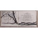 Cd Comma, Monkey, 2009
