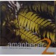 Cd Maestro Carlos Slivskin, Amanhecer 2, Músicas Clássicas em Suaves Arranjos