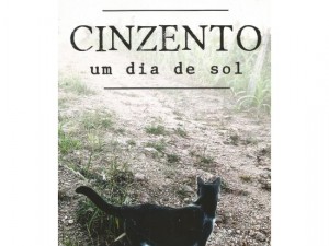 A estória de um gato abandonado, que escapou de vários perigos. Eles tem mesmo 7 vidas? A estória de um gato abandonado, que escapou de vários perigos. Eles tem mesmo 7 vidas?