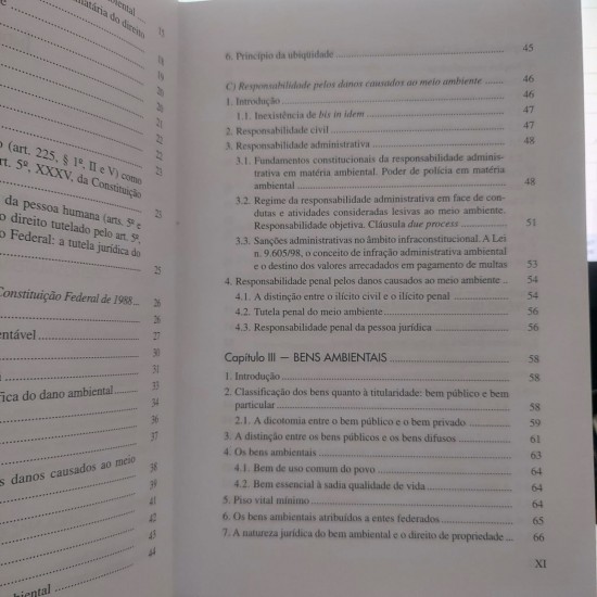 Curso de Direito Ambiental Brasileiro, Celso Antonio Pacheco Fiorillo, Editora Saraiva, 6ª Edição Ampliada