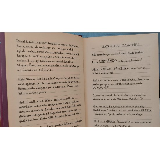 Diário de Uma Garota Nada Popular, Rachel Reneé Russell