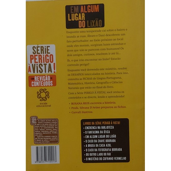 Em Algum Lugar do Lixão, Rosana Rios, Série Perigo à Vista