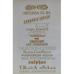 Matéria Médica Homeopática Ibehe, Volume IV, Coordenação Carlos Brunini, Carlos Sampaio, Editora Mythos 