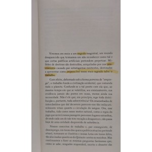 O Horror Econômico, Viviane Forrester