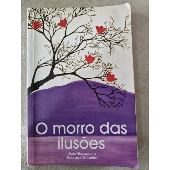 O Morro das Ilusões, Zibia Gasparetto