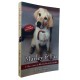 Marley & Eu. A Vida e o Amor ao Lado do Pior Cão do Mundo, John Grogan, Ediouro Marley & Eu. A Vida e o Amor ao Lado do Pior Cão do Mundo, John Grogan, Ediouro