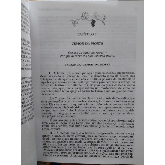 O Céu e o Inferno ou A Justiça Divina Segundo o Espiritismo. Contendo Índice Analítico dos Assuntos com 212 Verbetes