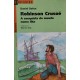 Robinson Crusoé, A Conquista do Mundo Numa Ilha, Daniel Defoe, Adaptação de Werner Zotz, Série Reencontro Robinson Crusoé, A Conquista do Mundo Numa Ilha, Daniel Defoe, Adaptação de Werner Zotz, Série Reencontro