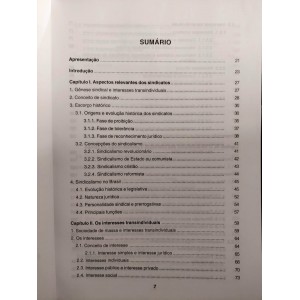 Sindicatos e Ações Coletivas. Acesso à Justiça, Jurisdição Coletiva e Tutela, Ronaldo Lima dos Santos Sindicatos e Ações Coletivas. Acesso à Justiça, Jurisdição Coletiva e Tutela, Ronaldo Lima dos Santos
