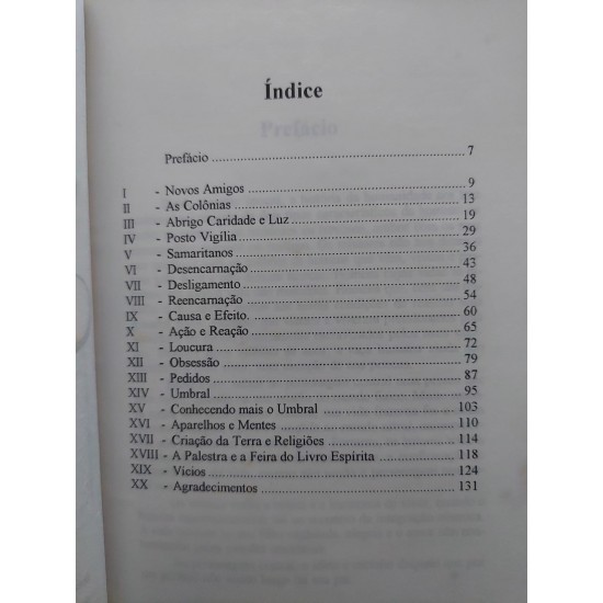 Vivendo no Mundo dos Espíritos, Vera Lucia Marinzeck